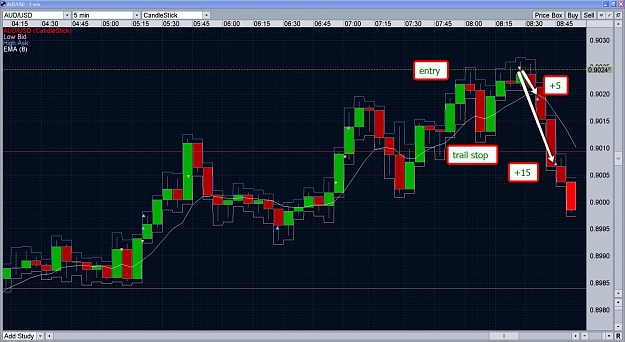 Click to Enlarge

Name: aud10.jpg
Size: 174 KB