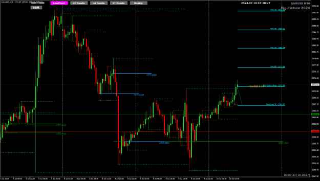Click to Enlarge

Name: XAU Jul10 M30 LO buy EP SL TP 10-7-2024 3-20-30 pm.png
Size: 26 KB