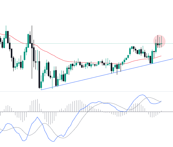 Click to Enlarge

Name: EURUSD_2024-07-10_00-43-13.png
Size: 20 KB