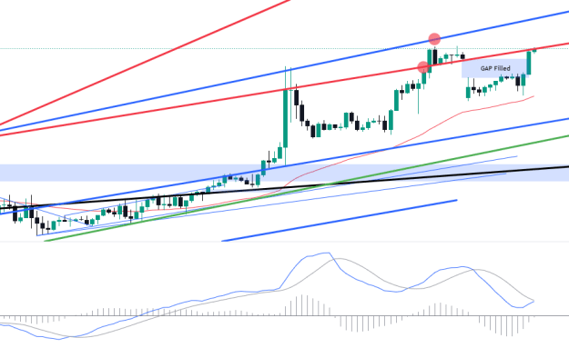 Click to Enlarge

Name: EURUSD_2024-07-15_02-26-34.png
Size: 54 KB