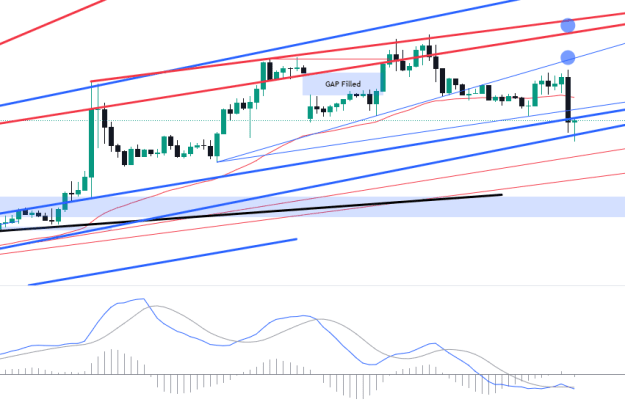 Click to Enlarge

Name: EURUSD_2024-07-16_06-48-12.png
Size: 49 KB