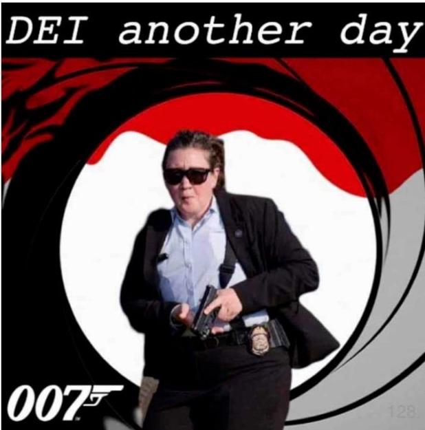 Click to Enlarge

Name: DEI.jpg
Size: 55 KB