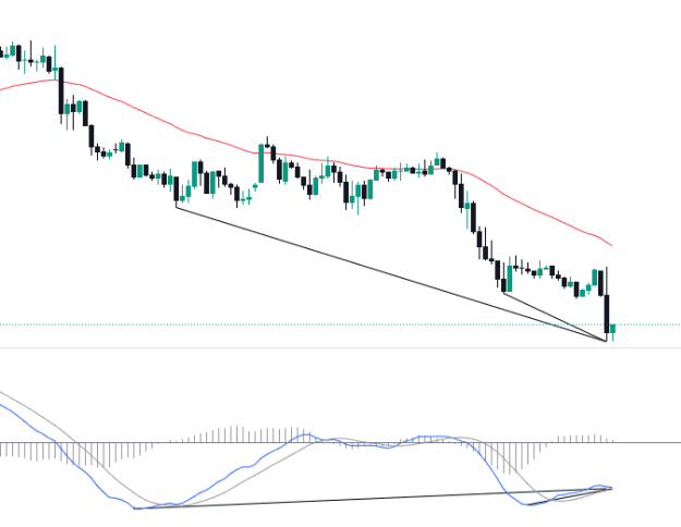 Click to Enlarge

Name: EURUSD_2024-07-24_01-12-03.png
Size: 23 KB