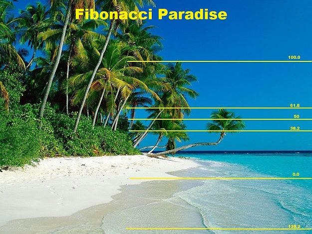 Click to Enlarge

Name: paradise.jpg
Size: 159 KB