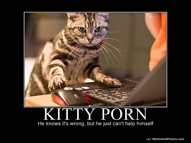 Click to Enlarge

Name: -kittyporn.jpg
Size: 52 KB