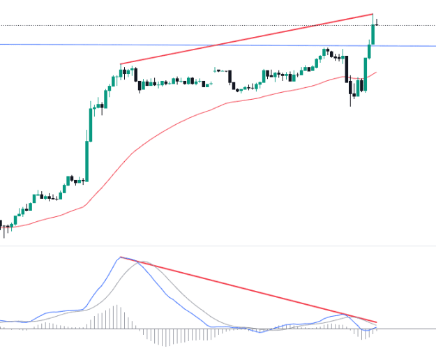 Click to Enlarge

Name: EURUSD_2024-08-05_00-49-58 (1).png
Size: 8 KB