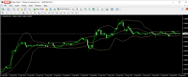 Click to Enlarge

Name: EURUSD 06 08 2024 m15.png
Size: 21 KB