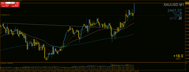 Click to Enlarge

Name: image_2024-08-12_203146799.png
Size: 29 KB
