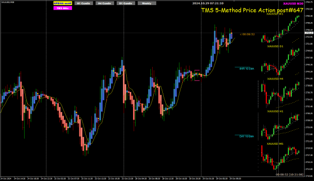 Click to Enlarge

Name: XAU Oct28 m30 review 29-10-2024 3-21-12 pm.png
Size: 31 KB