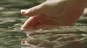 Click to Enlarge

Name: water.jpeg
Size: 5 KB