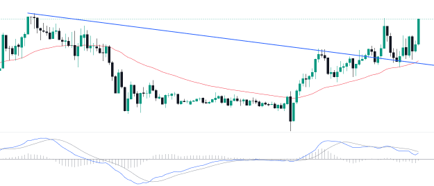 Click to Enlarge

Name: EURUSD_2024-12-20_21-23-31.png
Size: 31 KB