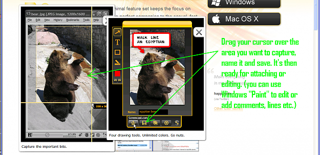 Click to Enlarge

Name: jing4.png
Size: 747 KB