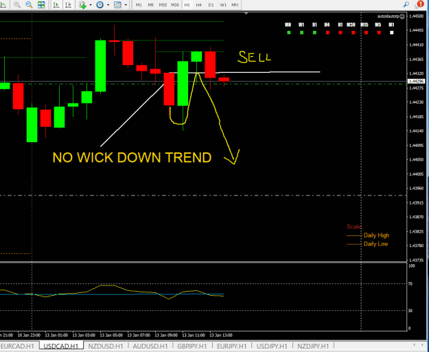 Click to Enlarge

Name: NO WICK DOWN TREND USD CAD H1.png
Size: 18 KB