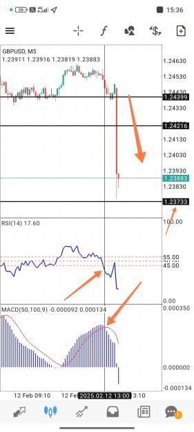 Click to Enlarge

Name: Screenshot_2025-02-12-15-36-45-779_net.metaquotes.metatrader4-edit.jpg
Size: 544 KB