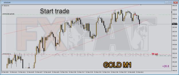 Click to Enlarge

Name: gold 009.jpg
Size: 127 KB
