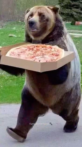 Click to Enlarge

Name: Funny Bears _ Bear Attack _ Polar Bear _ Funny Animals #shorts #bear #funnybear #grizzlybear.jpg
Size: 43 KB