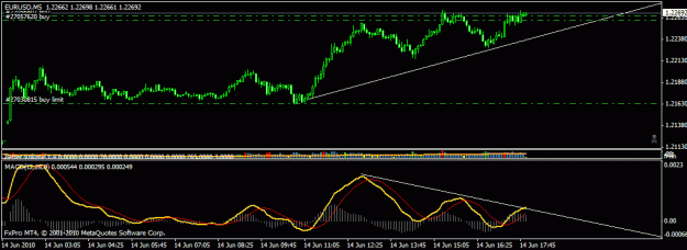 Click to Enlarge

Name: euro55.gif
Size: 16 KB