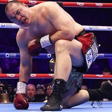 Click to Enlarge

Name: boxer.jpeg
Size: 11 KB