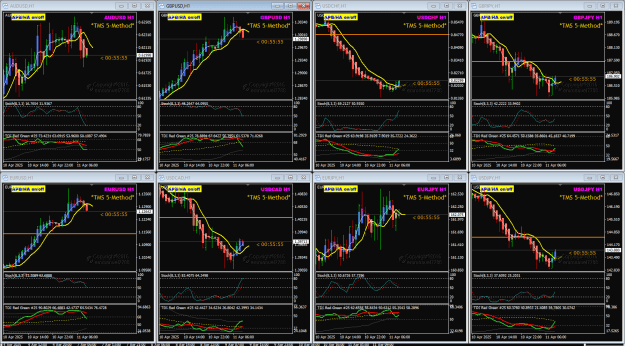 Click to Enlarge

Name: TMS 8 pairs FO 11-4-2025 2-04-09 pm.png
Size: 62 KB