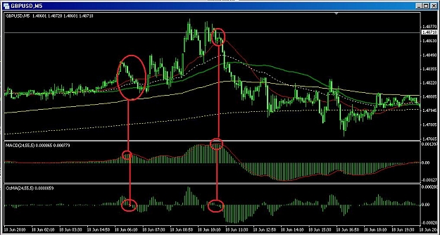 Click to Enlarge

Name: osma.jpg
Size: 95 KB