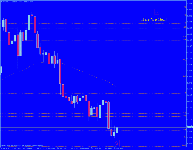Click to Enlarge

Name: eur.usd-h1.gif
Size: 17 KB