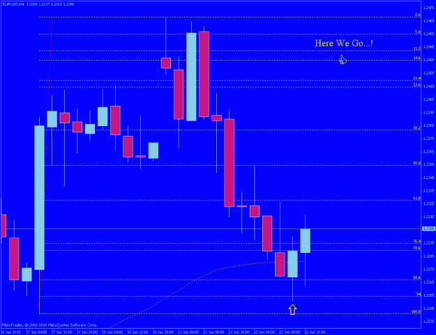 Click to Enlarge

Name: eur.usd-h4.gif
Size: 19 KB