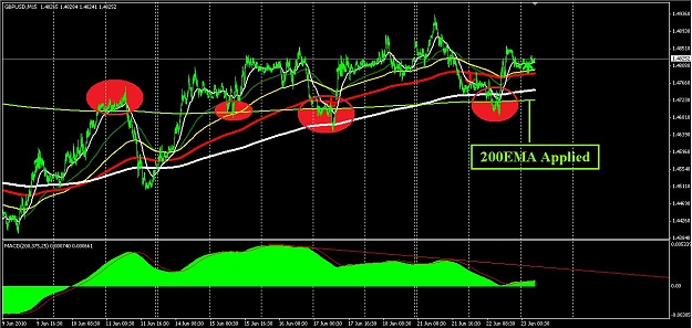 Click to Enlarge

Name: new4.jpg
Size: 130 KB