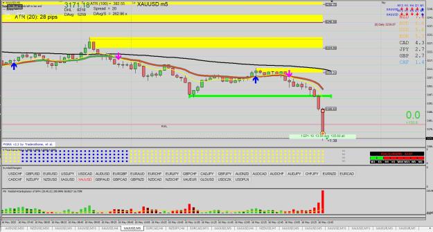 Click to Enlarge

Name: XAUUSD M5 05.16.jpg
Size: 344 KB