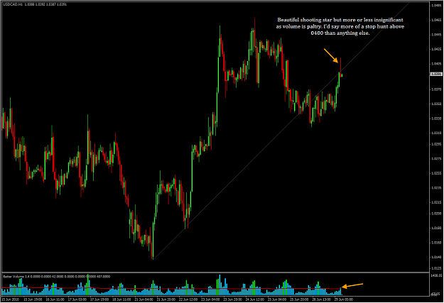 Click to Enlarge

Name: 6-29-2010 USDCAD1.png
Size: 32 KB