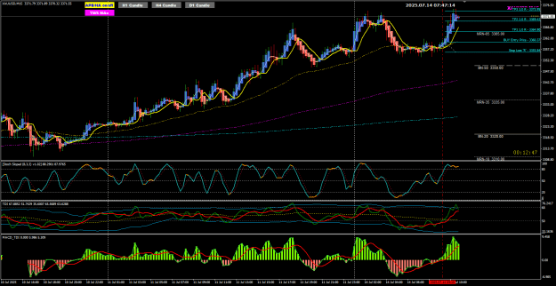 Click to Enlarge

Name: XAU July 14 FO 3R trade 14-7-2025 3-47-16 pm.png
Size: 44 KB