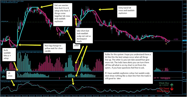 Click to Enlarge

Name: waddah.jpg
Size: 178 KB