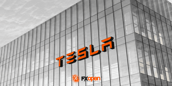 Click to Enlarge

Name: tsla.png
Size: 81 KB