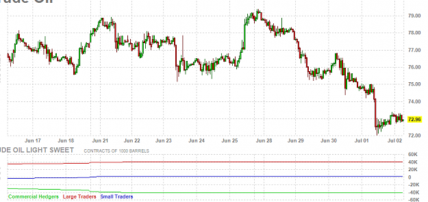 Click to Enlarge

Name: cot_hourly_oil.png
Size: 33 KB