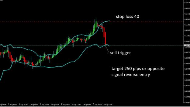 Click to Enlarge

Name: 40 stop.jpg
Size: 108 KB