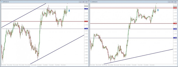 Click to Enlarge

Name: gu-eu1h.jpg
Size: 82 KB
