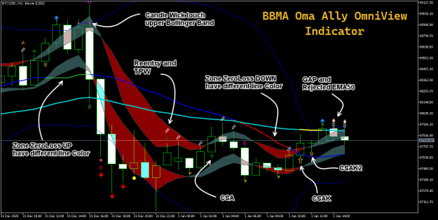 Click to Enlarge

Name: BTCUSDH1.png
Size: 37 KB