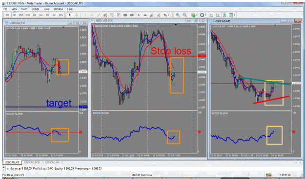 Click to Enlarge

Name: usdcda1.gif
Size: 71 KB