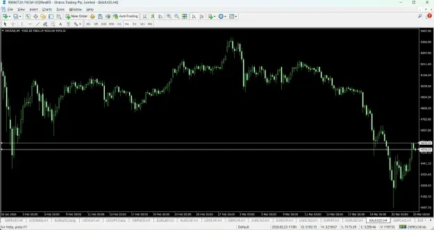 Click to Enlarge

Name: screenshot.webp
Size: 67 KB