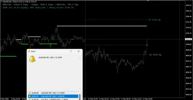 Click to Enlarge

Name: screenshot.webp
Size: 79 KB