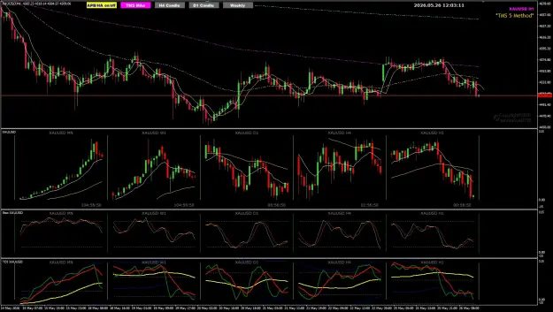 Click to Enlarge

Name: XAU May26 NYO GAP filled 26-5-2026 8-03-12 pm.png
Size: 110 KB