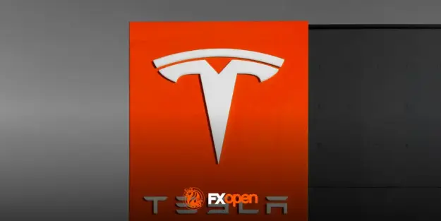 Click to Enlarge

Name: tsla.png
Size: 9 KB