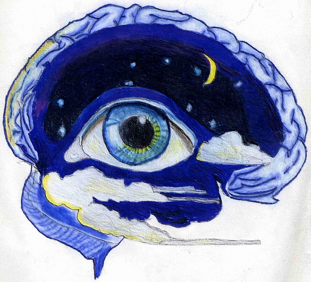 Click to Enlarge

Name: MindsEye.jpg
Size: 344 KB