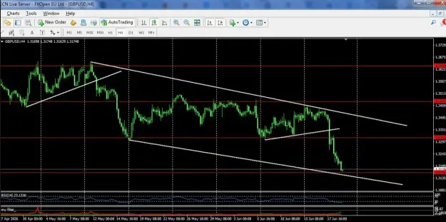Click to Enlarge

Name: screenshot.webp
Size: 53 KB