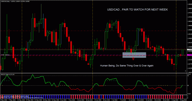 Click to Enlarge

Name: usdcad 3.gif
Size: 39 KB