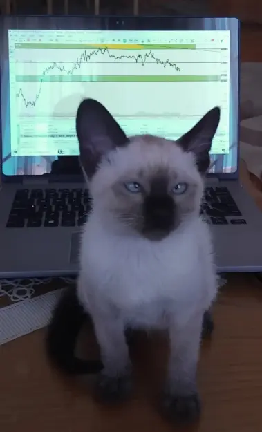 Click to Enlarge

Name: kiki.jpg
Size: 39 KB