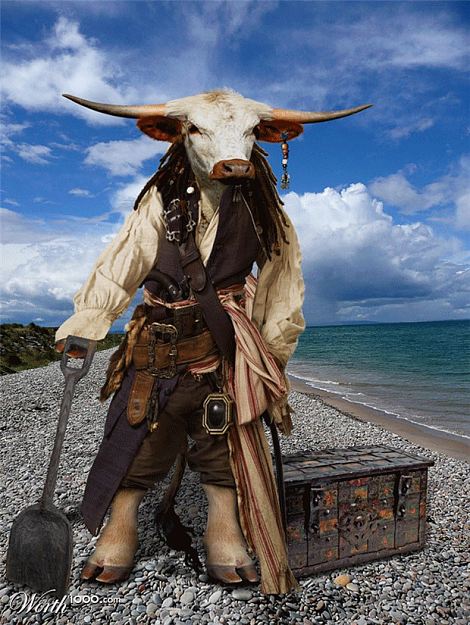 Click to Enlarge

Name: animal-photo-manipulation-pirate-bull.png
Size: 287 KB
