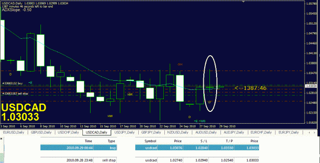 Click to Enlarge

Name: trades2.gif
Size: 34 KB