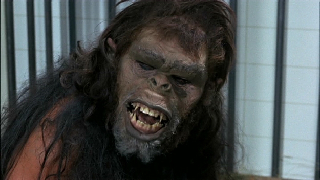 Click to Enlarge

Name: trog.jpg
Size: 74 KB