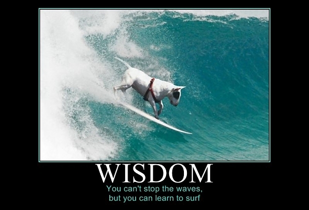 Click to Enlarge

Name: 634136415849873715-Wisdom.jpg
Size: 188 KB