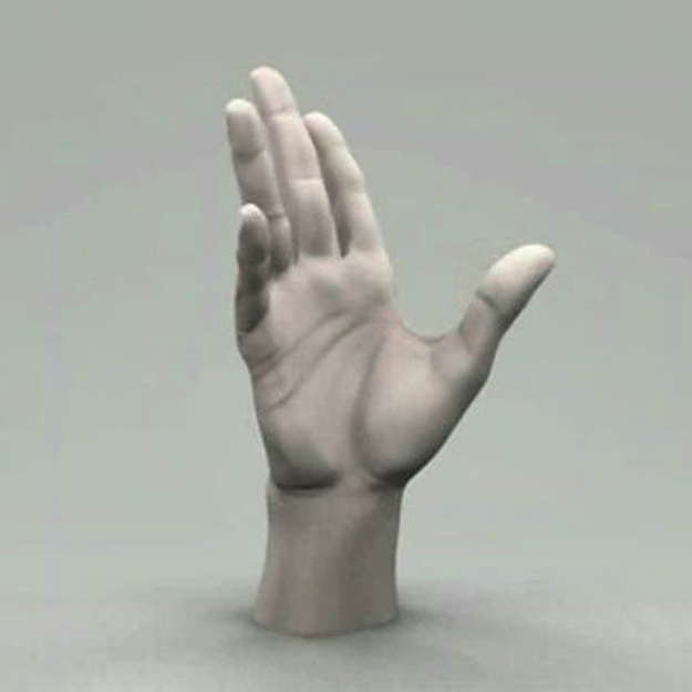 Click to Enlarge

Name: hand.jpg
Size: 25 KB